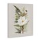 Stupell Industries Bumble Bee & Flower Canvas Design by House Fenway
